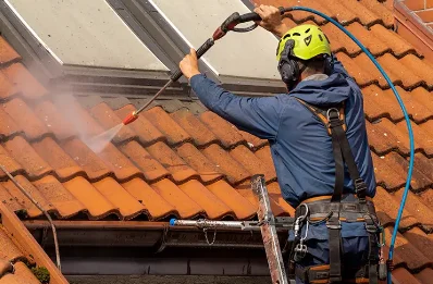 Démoussage et hydrofuge de toiture à la Roche-Mabile